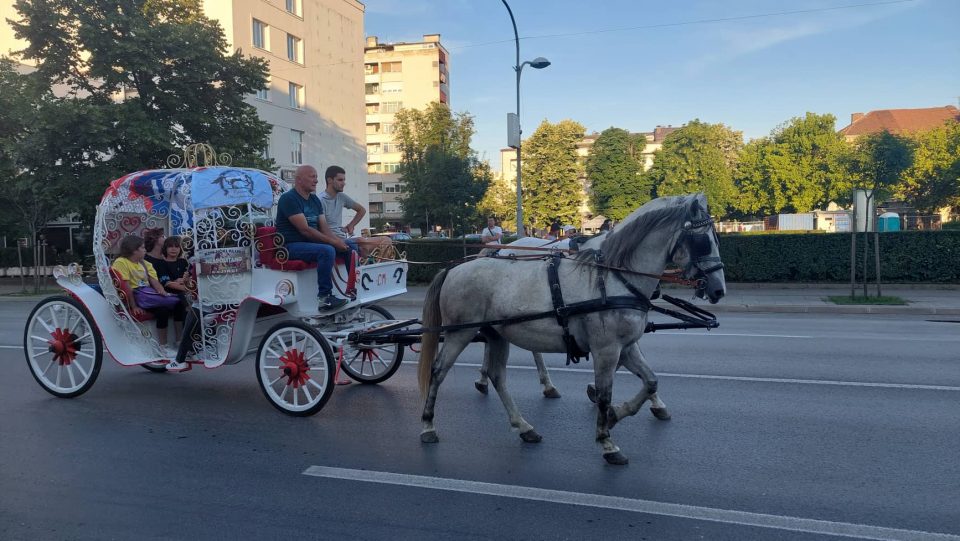 Foto: Jelena Stanić